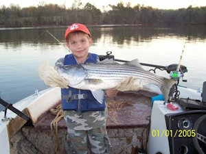 Striped Bass in Lake Hartwell